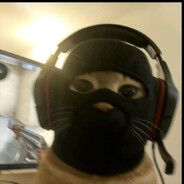 Miau Capone