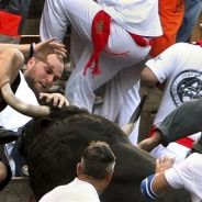 the cows will betray us...