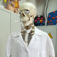 𝕄𝔸𝕁𝕂𝔼𝕃 ⦰⦰