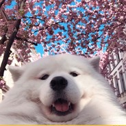 Ðĕvøчķã ş ķãřĕ♠