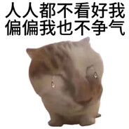 人人都不看好我 偏偏我