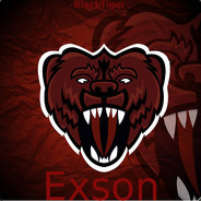 Exson pvpro.com