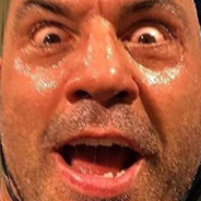 The Joe Rogan Experience