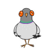 Literally A Pigeon