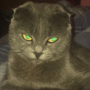 грязный каблук