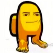 Bruhlint