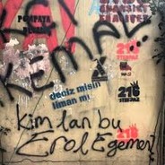 Erol Egemen