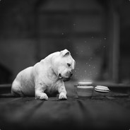 CaPpedDoG