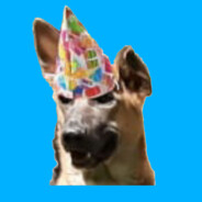 Streamdoge