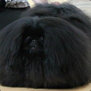 FLUFFY