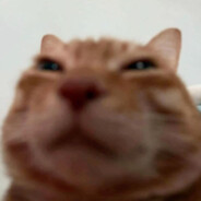 panza