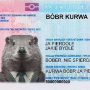 ЧИКАТИЛО