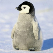 TheRealPenguin