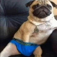 ,