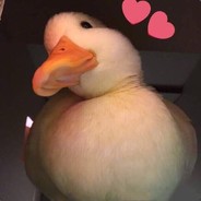 春日