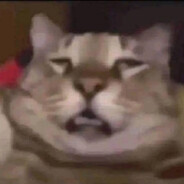 Catto