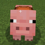 Mr PIG