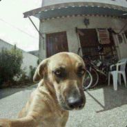 Funny mud pee