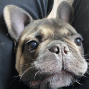 KOOLIO