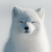 Artic