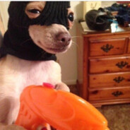 DoggyWithABlicky