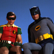 robin