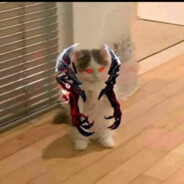 ?