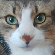 https://avatars.fastly.steamstatic.com/d879e1ec6b3de2e9dd3b4c52b349d10f09cb8fa7_full.jpg