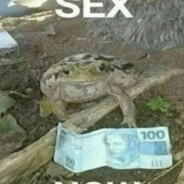 Grzegorz 207