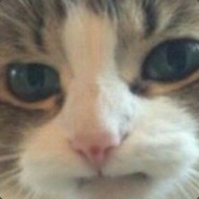 CSGO-SKINS.COM
