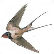 Flying Swallow