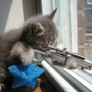 Kiccat