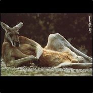 _W_Goatlord