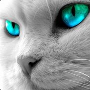 <Black>