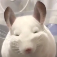 Cuddly rat