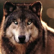 Redwolf7