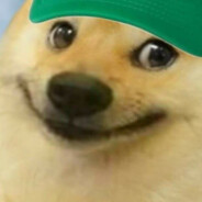 HOT DAWG