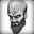 Group Avatar