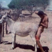 Я ишак люблу