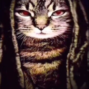 king meow