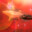 Group Avatar