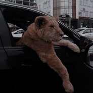 Carleone