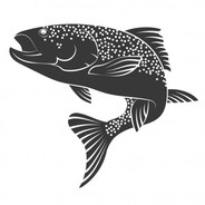 Shoal