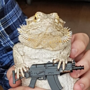 FRAGLIZARD