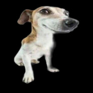Mutt