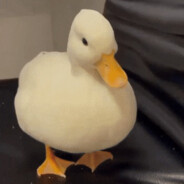 THE_DUCK