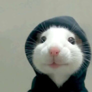 The Mouse