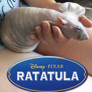 RATATULA