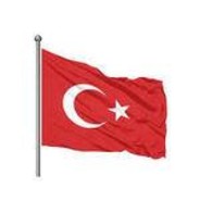 Yırtıcı
