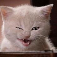 meow